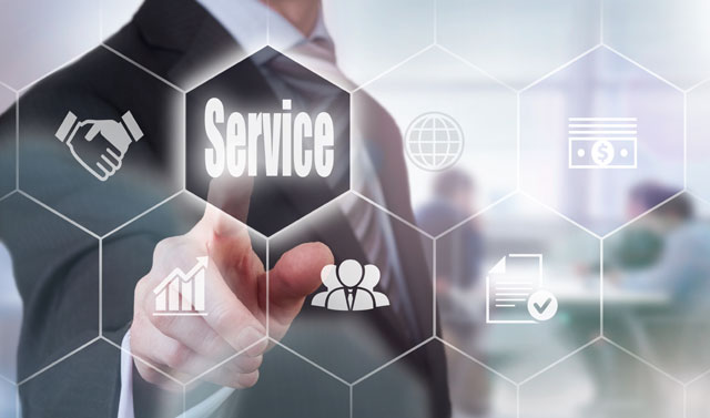 Hosting & Maintenance